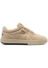 Palm Angels University Low Top Sneakers Beige in Pelle Donna