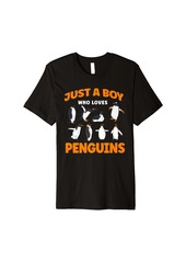 Penguin Just A Boy Who Loves Penguins Premium T-Shirt