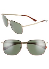 Persol 59mm Square Sunglasses