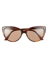 Women's Persol 55mm Polarized Sunglasses - Caffe/ Brown