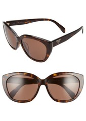 Prada 59mm Cat Eye Sunglasses in Havana/Brown Solid at Nordstrom
