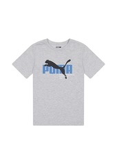Puma Athletics Club Pack Cotton Jersey Short Sleeve Graphic Tee (Big Kids)