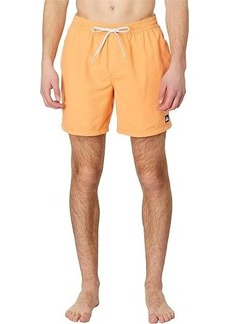 Quiksilver 17" Everyday Solid Volley Shorts