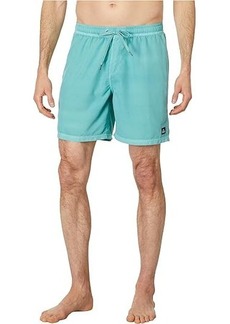 Quiksilver 17" Everyday Surfwash Volley Shorts