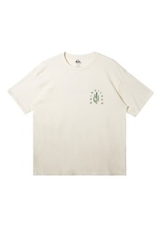 Quiksilver Silver Lining Organic Cotton Graphic T-Shirt