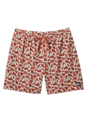 Quiksilver Waterman Men's Cluster Fin Volley 17 Swimsuit Shorts - Overcast