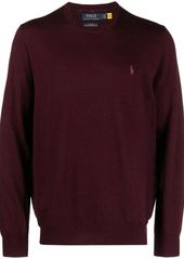 Ralph Lauren Polo POLO RALPH LAUREN LONG SLEEVE CREW NECK PULLOVER CLOTHING