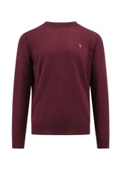 Ralph Lauren Polo POLO RALPH LAUREN SWEATER