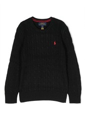 Ralph Lauren Polo Pony cotton jumper