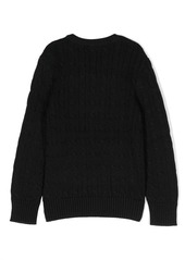 Ralph Lauren Polo Pony cotton jumper