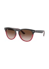 Ray-Ban Iris round-frame sunglasses