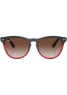 Ray-Ban Iris round-frame sunglasses