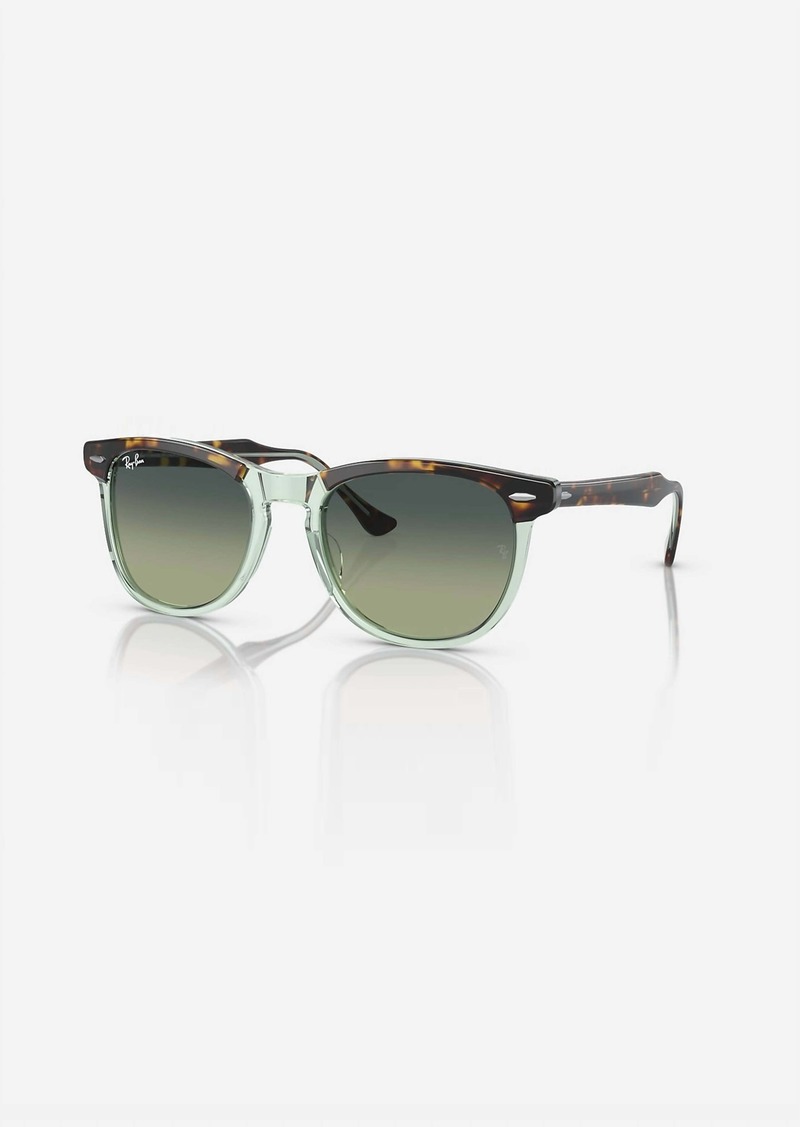 Ray-Ban Men's Eagle Eye Sunglasses In Havana On Transparent Green