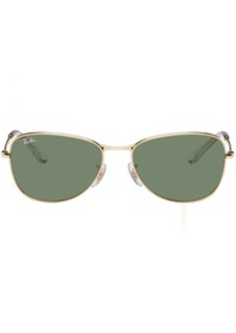 Ray-Ban Gold RB3733 Sunglasses