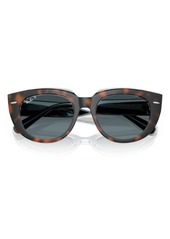 Ray-Ban Women's Polarized Sunglasses, Doreen RB2286 - Dark Havana On Transparent Multicolor