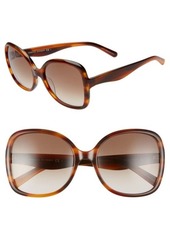 Rebecca Minkoff Lark2 58mm Butterfly Sunglasses in Brown Horn/Brown Gradient at Nordstrom
