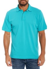 Robert Graham Sea Level Knit Polo in Seafoam at Nordstrom