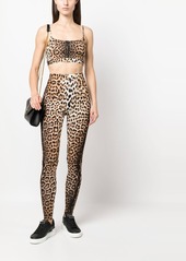 Roberto Cavalli leopard-print cropped top