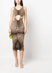 Roberto Cavalli leopard-print cut-out midi dress