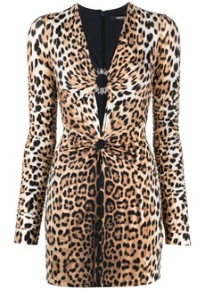 Roberto Cavalli leopard print V-neck minidress