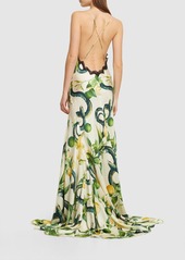 Roberto Cavalli Printed Silk Twill Crisscross Maxi Dress
