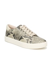 Sam Edelman Ethyl Low Top Sneaker (Women)