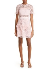 Self Portrait Self-Portrait Guipure Embroidered Pleat Minidress in Dusty Pink at Nordstrom