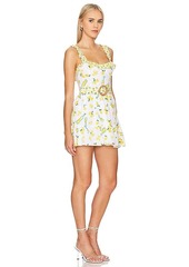 Show Me Your Mumu Jolene Mini Dress