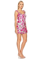 Show Me Your Mumu Rosa Ruffle Mini Dress