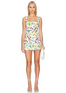 Show Me Your Mumu Steph Mini Dress