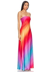 Show Me Your Mumu Taylor Tube Maxi Dress