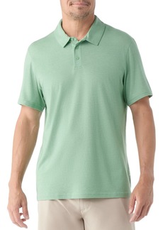 SmartWool Men's Short Sleeve Polo T-Shirt, Small, Green