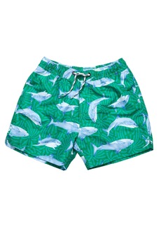 Snapper Rock Reef Shark Swim Short - Green