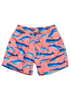 Snapper Rock Whale Tail Swim Short - Open Miscellaneous