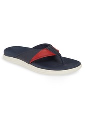 sperry top sider flip flops mens