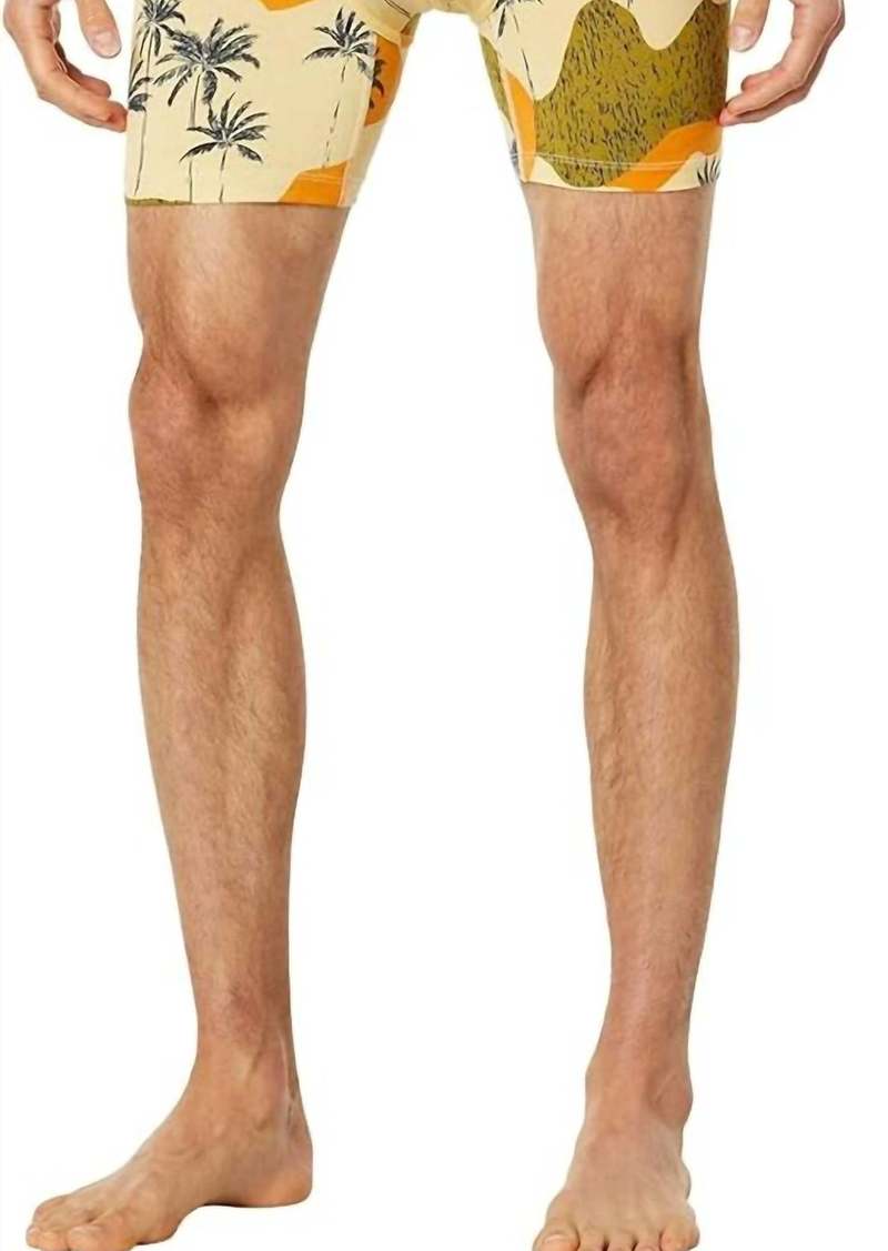 Stance Men's Palmoflage Boxer Briefs In Tan