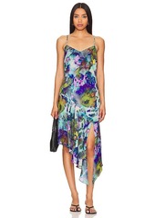 Steve Madden Elysia Dress