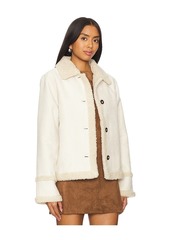 Steve Madden Miel Jacket