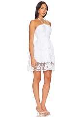 Steve Madden Robyn Dress