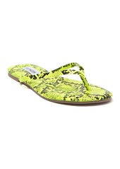 steve madden tay flip flop