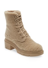 Stuart Weitzman Nisha Chill Genuine Shearling Combat Boot in Museline Shearling at Nordstrom