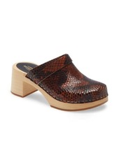 Swedish Hasbeens Dagny Clog in Snake Print Leather at Nordstrom