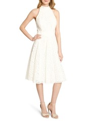 Tahari Floral Daisy Lace Fit & Flare Dress in Ivory Daisy Lace at Nordstrom