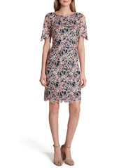 Tahari Scalloped Lace Cocktail Dress in Beige Coral Navy at Nordstrom
