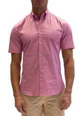 TailorByrd Micro Gingham Stretch Cotton Short Sleeve Button-Down Shirt in Fuchsia at Nordstrom Rack