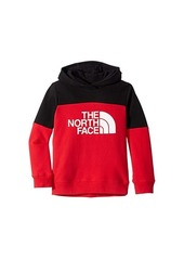 The North Face Metro Logo Pullover Hoodie (Little Kids/Big Kids)
