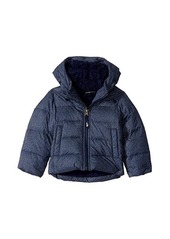 The North Face Moondoggy Down Jacket (Toddler)