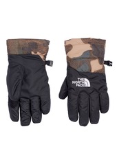 The North Face Boys' Moondoggy Gloves, Small, Gray