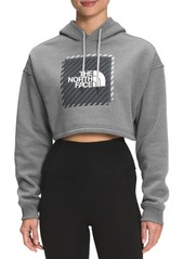 The North Face Crop Graphic Hoodie in Grey Heather at Nordstrom