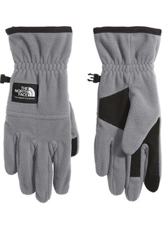 The North Face Etip™ Heavyweight Fleece Glove, Men's, Small, Gray